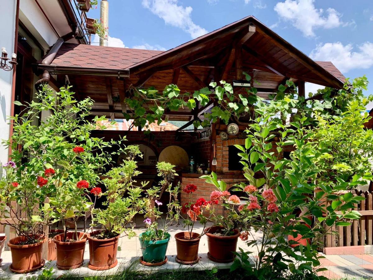Casa Olanesti 호텔 Băile Olăneşti 외부 사진